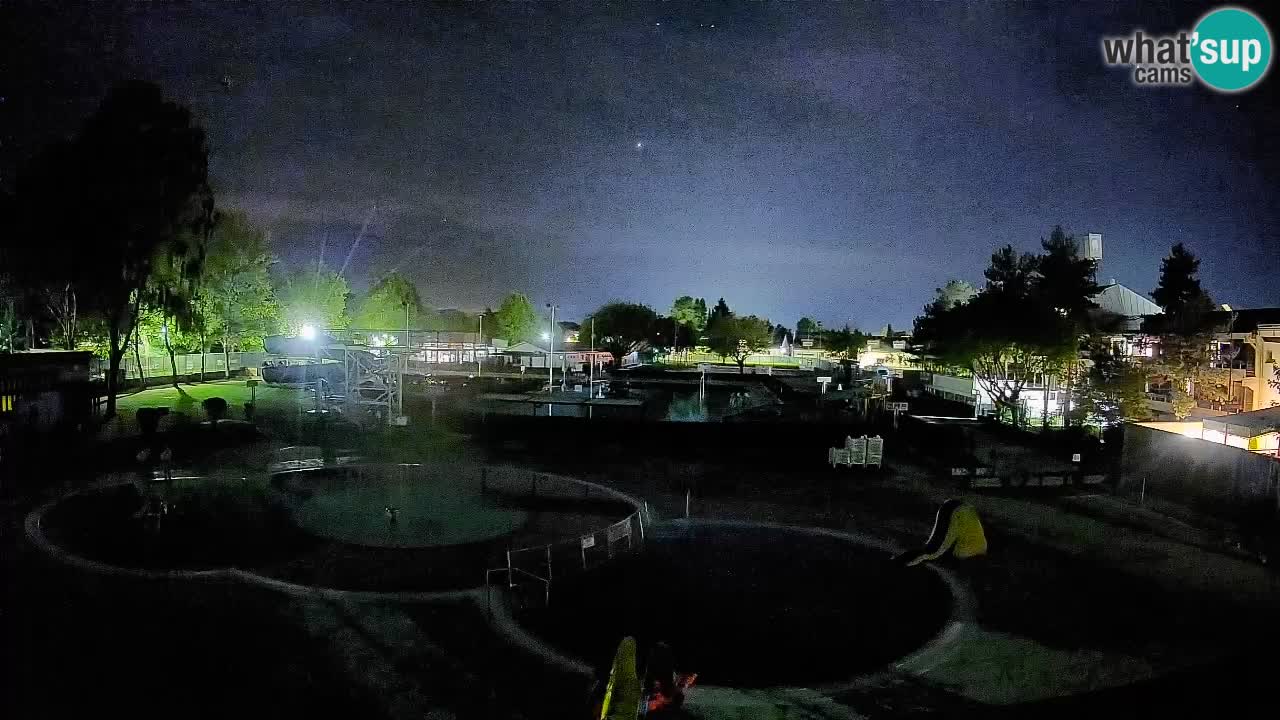 Celje – Piscina estiva