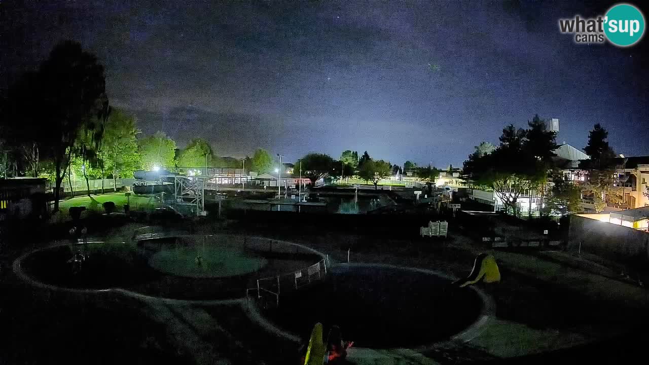 Celje – Piscina estiva