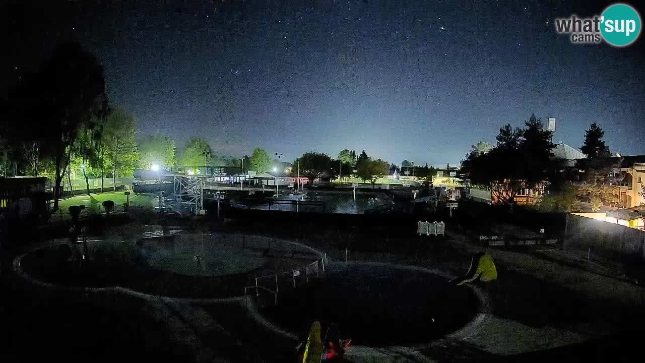 Celje – Piscina estiva