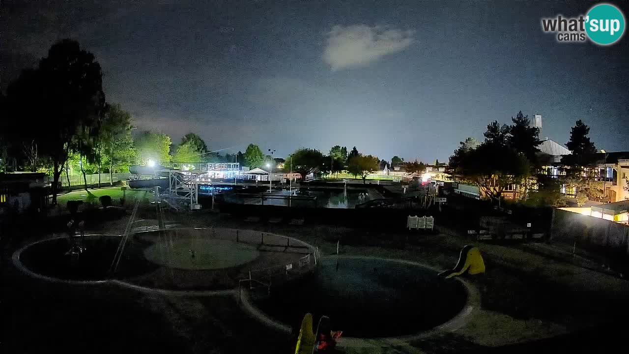 Celje – piscina al aire libre