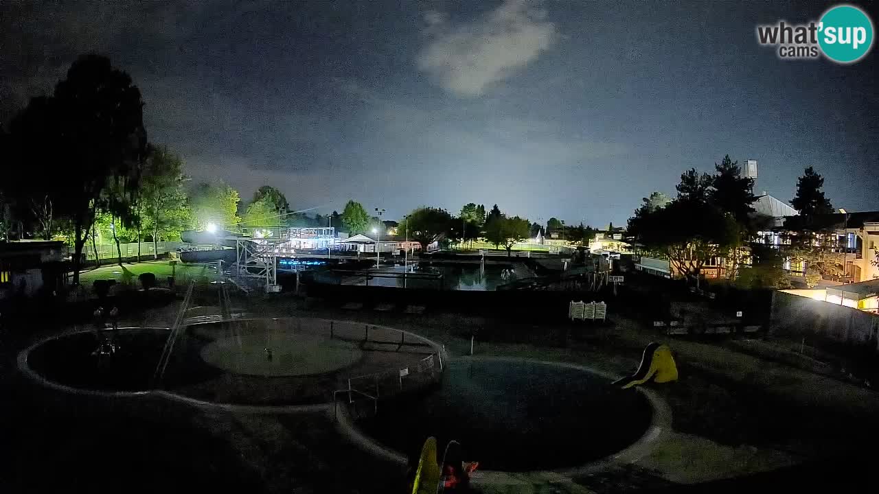 Celje – piscina al aire libre