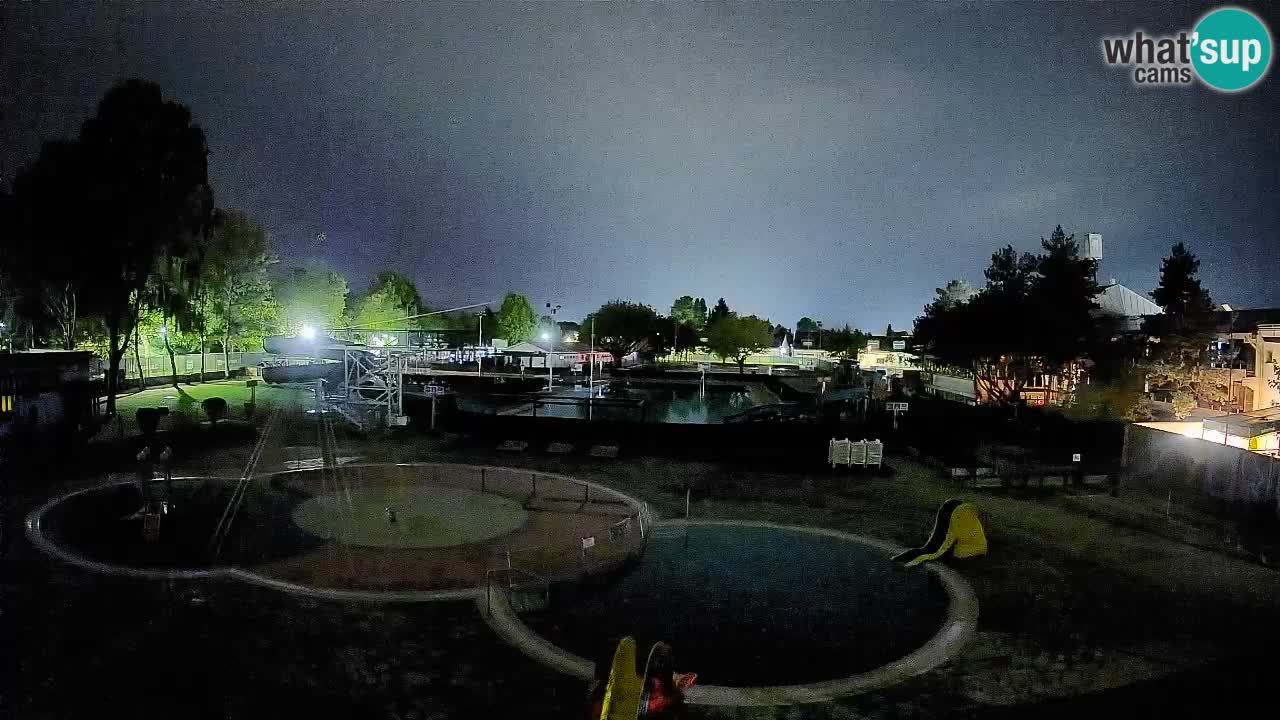 Celje summer open-air swimming pool