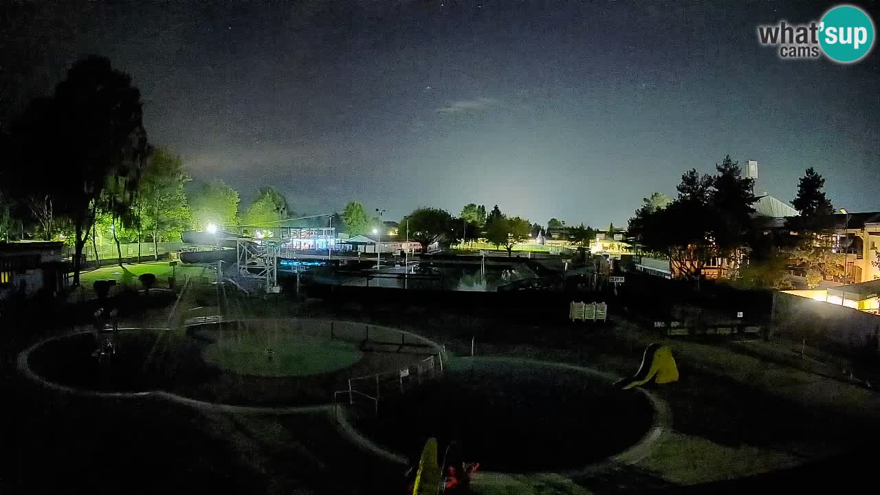 Celje – Piscina estiva