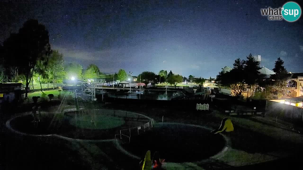 Celje summer open-air swimming pool