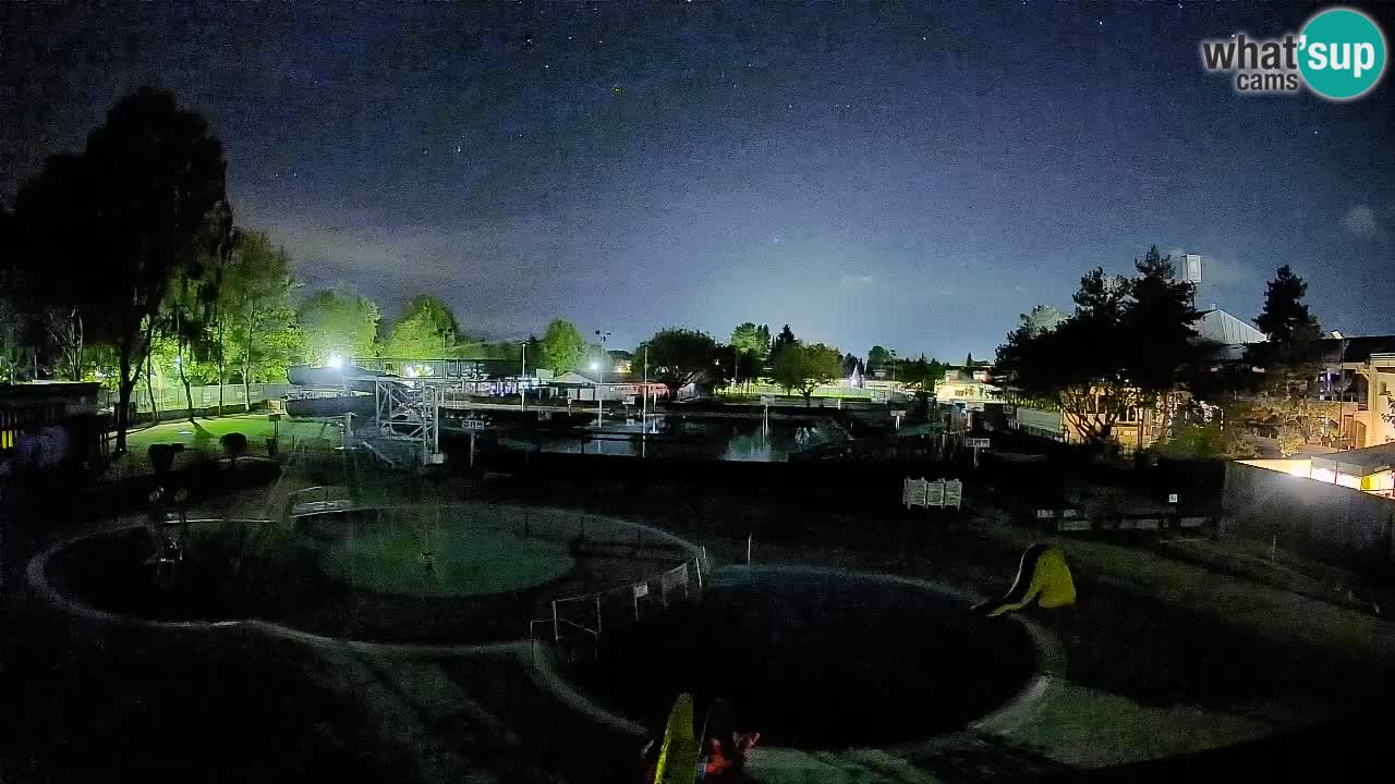 Celje – Piscina estiva