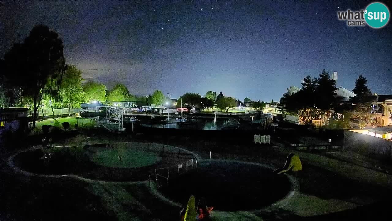 Celje – Piscina estiva