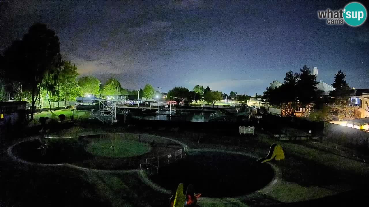 Celje – Piscina estiva