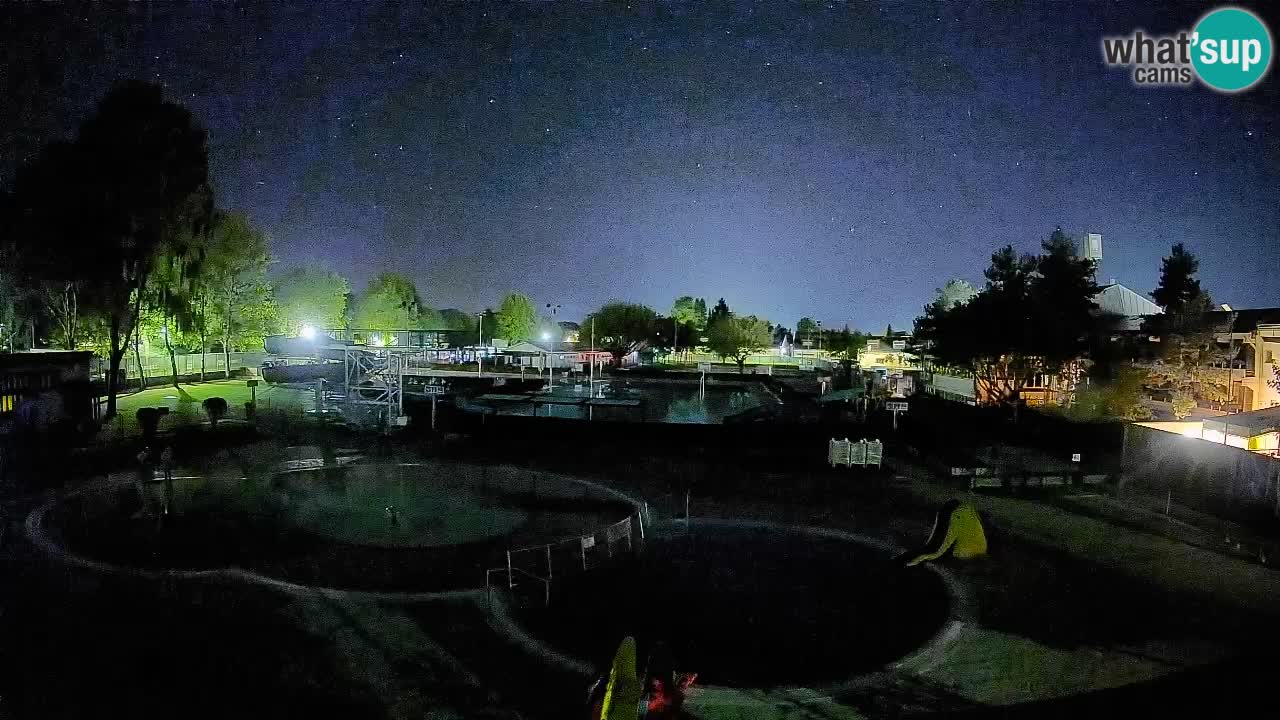 Celje summer open-air swimming pool