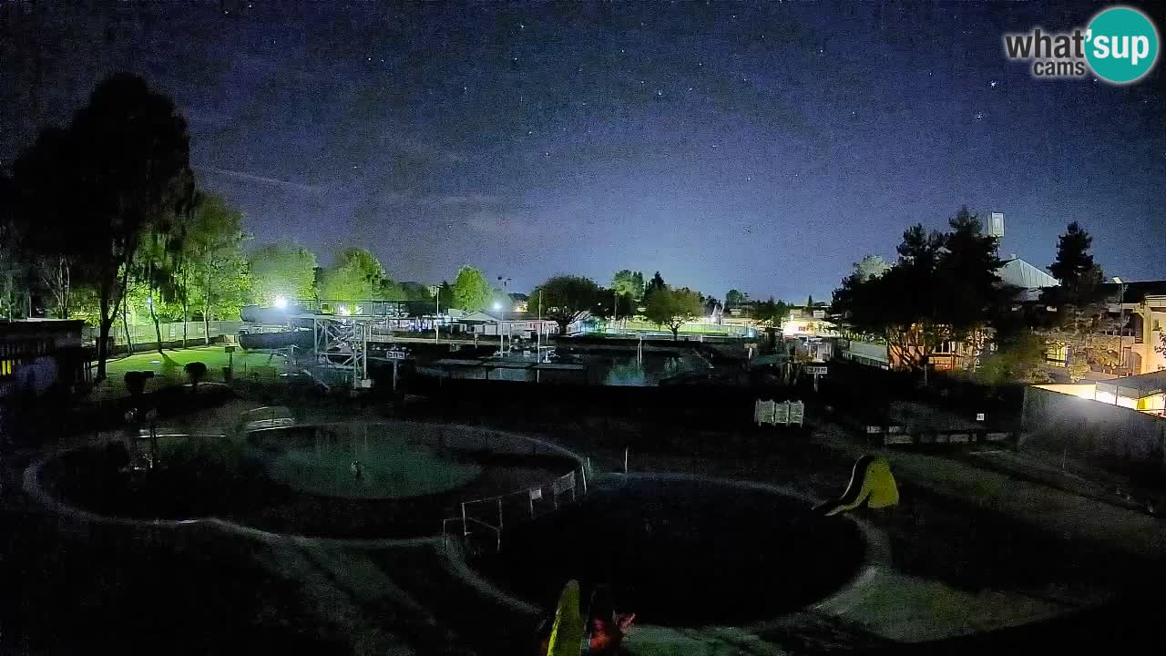 Celje – Piscine d’été
