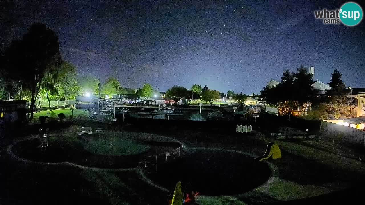 Celje – Piscine d’été
