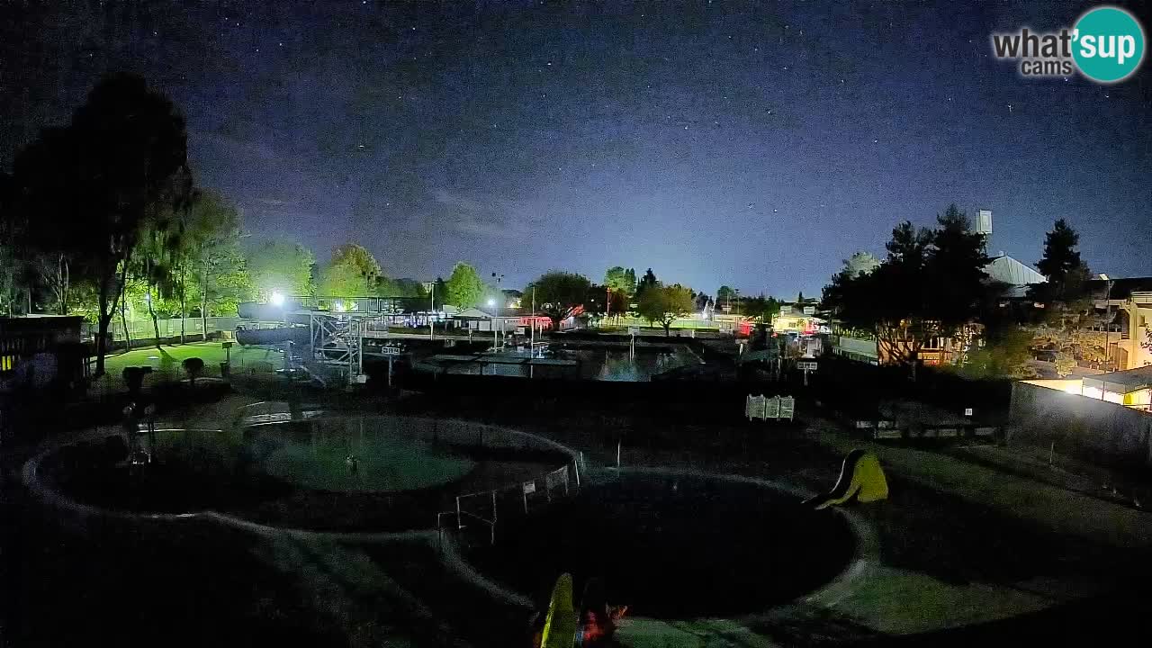 Celje – piscina al aire libre