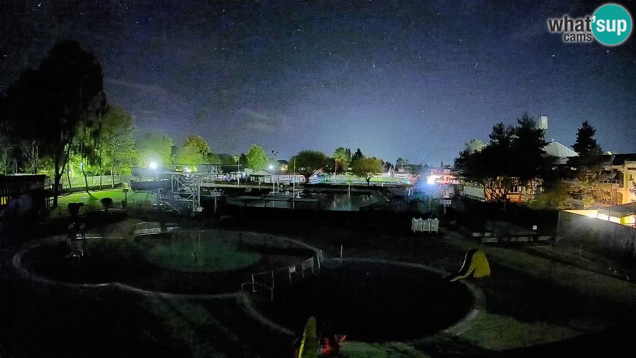 Celje – Piscina estiva