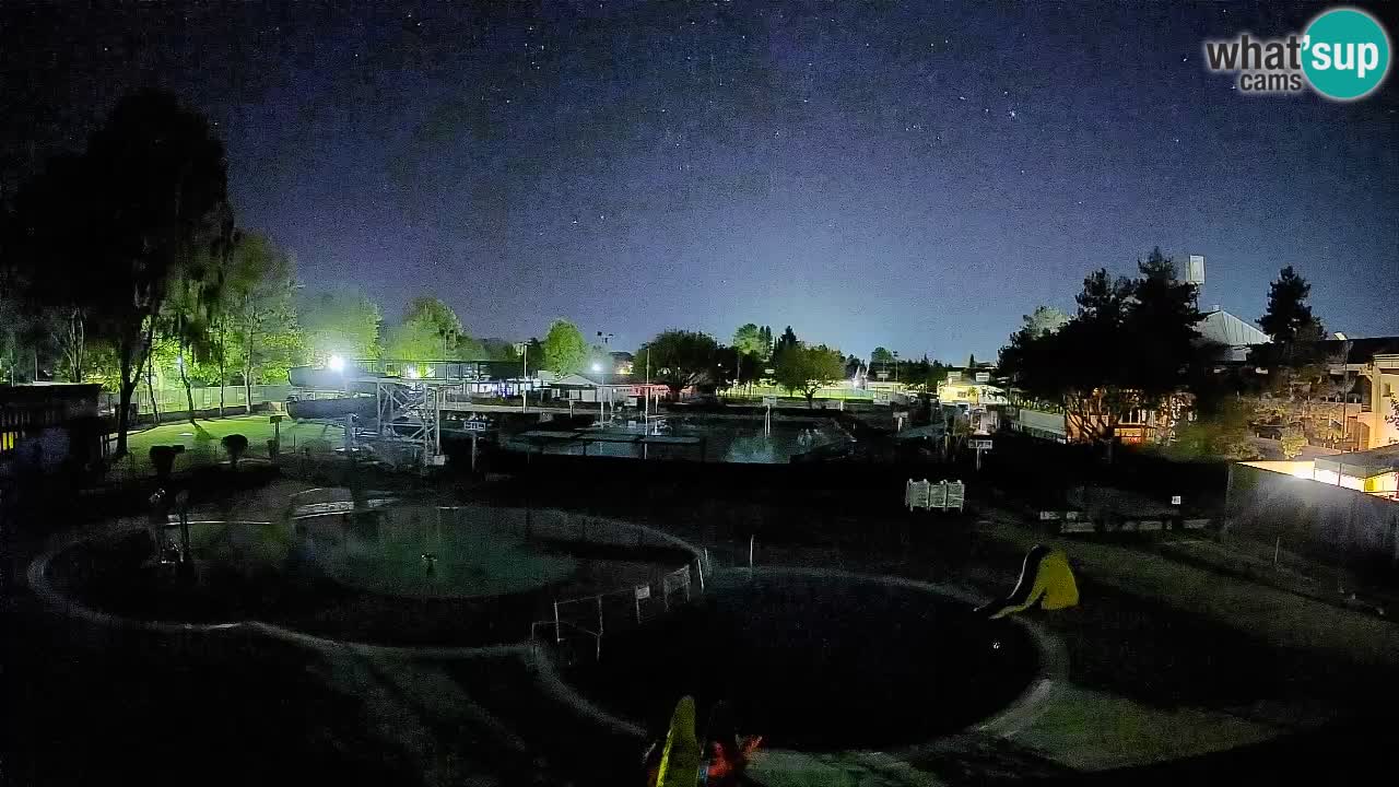 Celje – piscina al aire libre