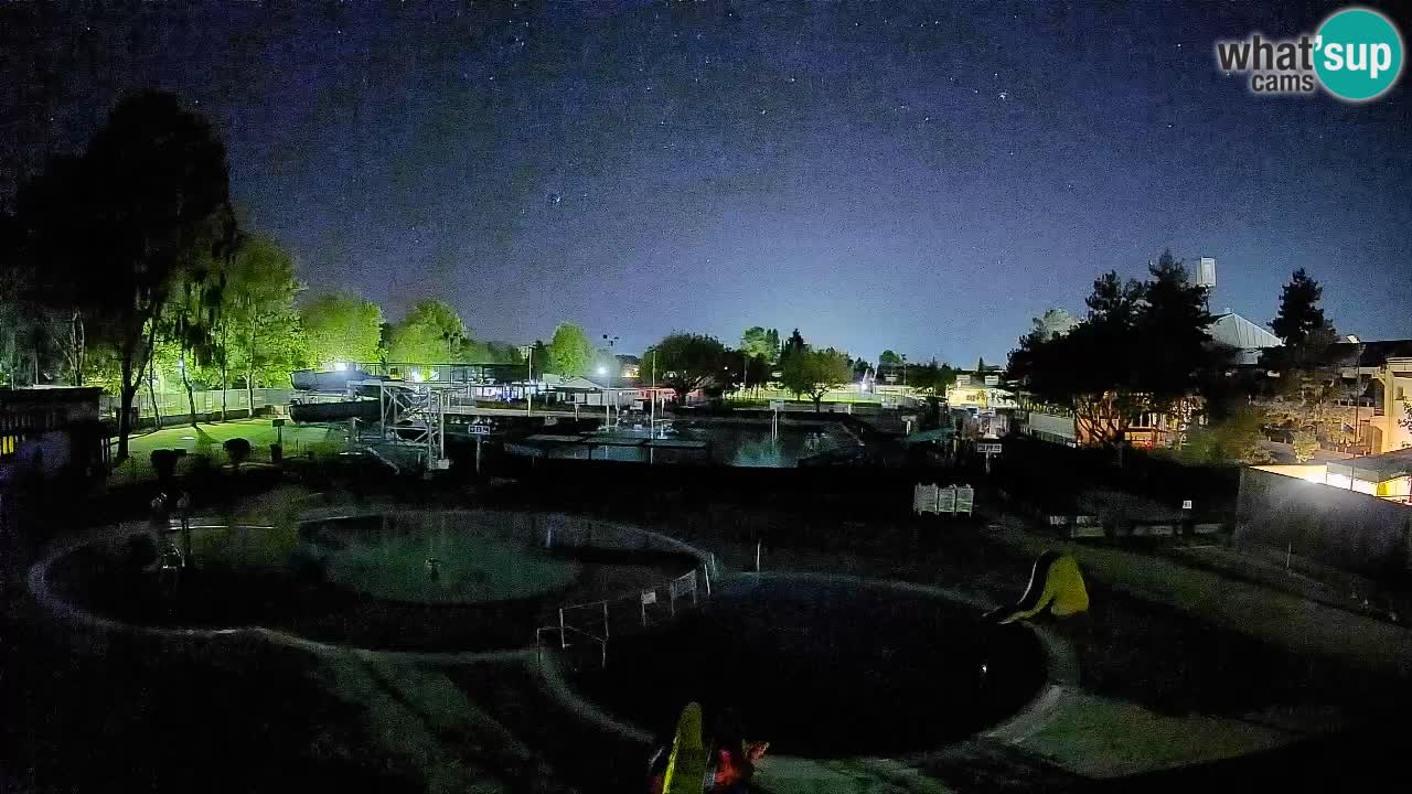 Celje – piscina al aire libre