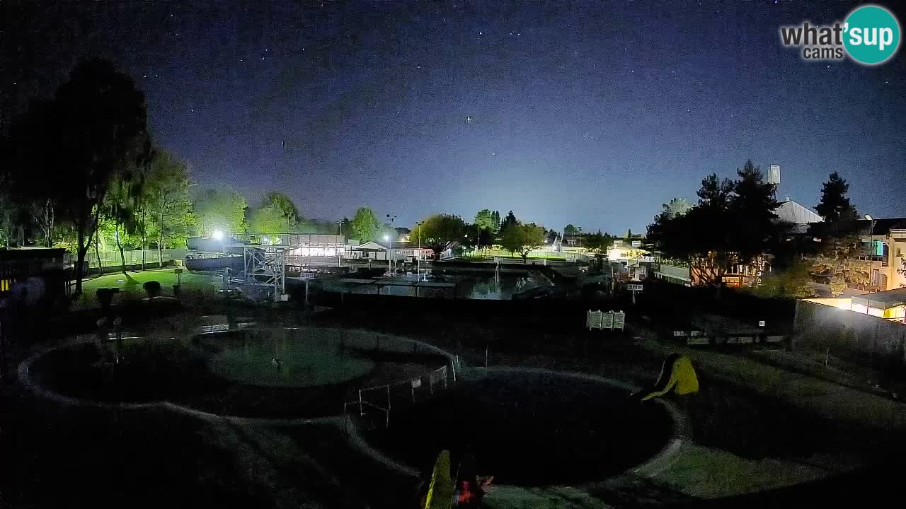 Celje – Piscina estiva