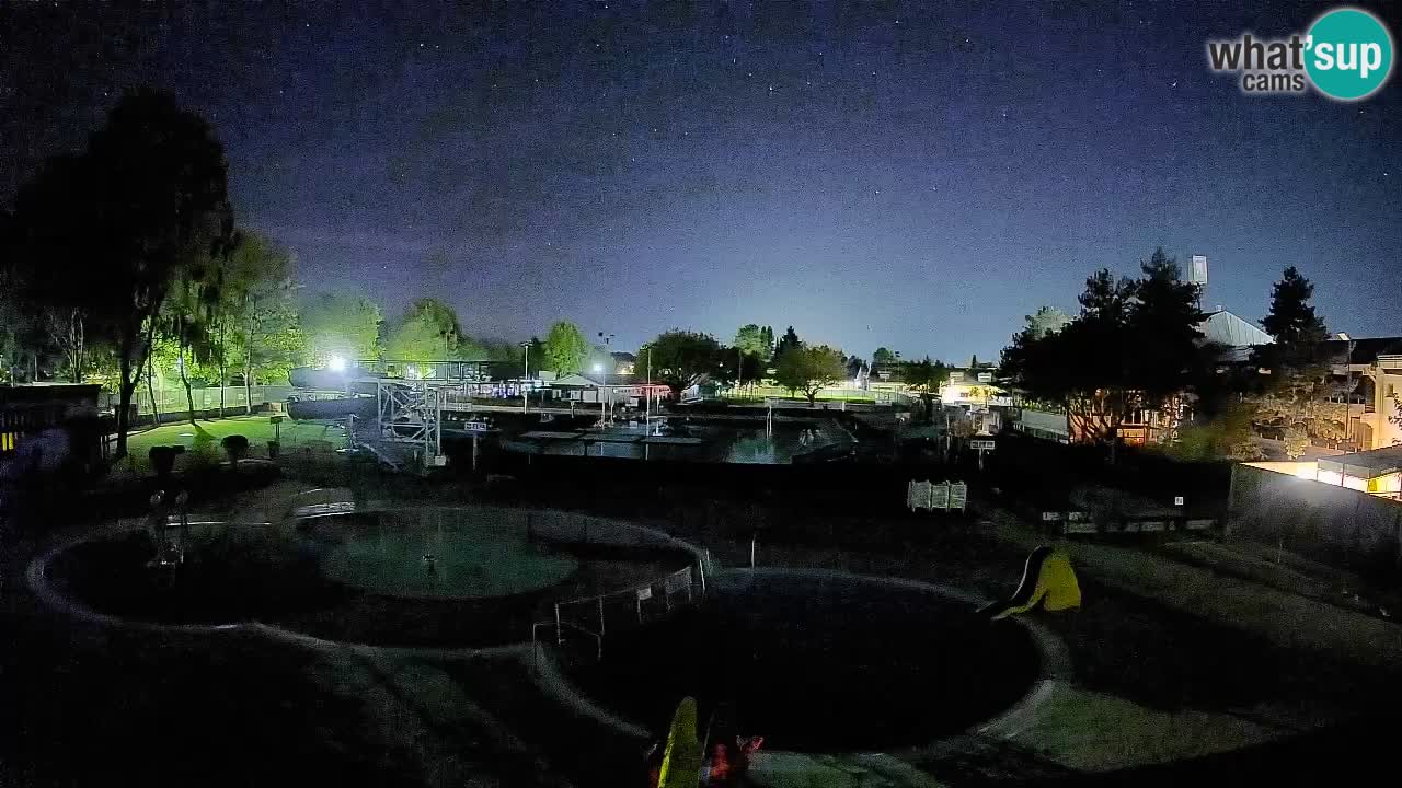 Celje – Piscine d’été