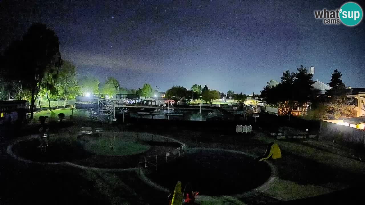 Celje summer open-air swimming pool