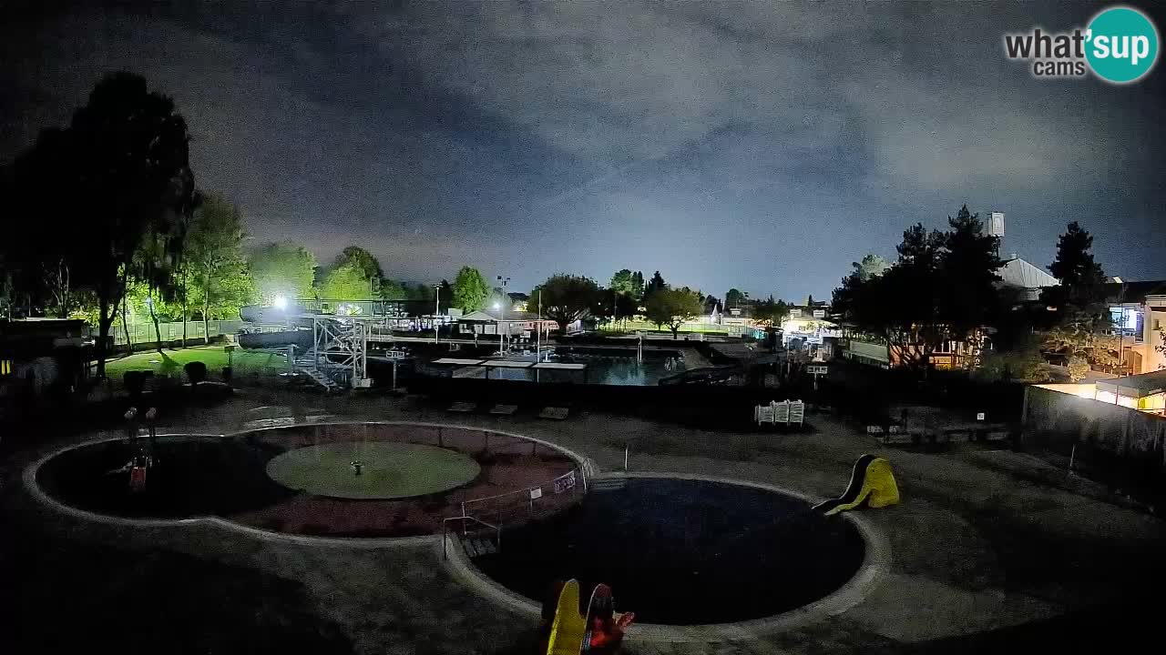 Celje – Piscina estiva
