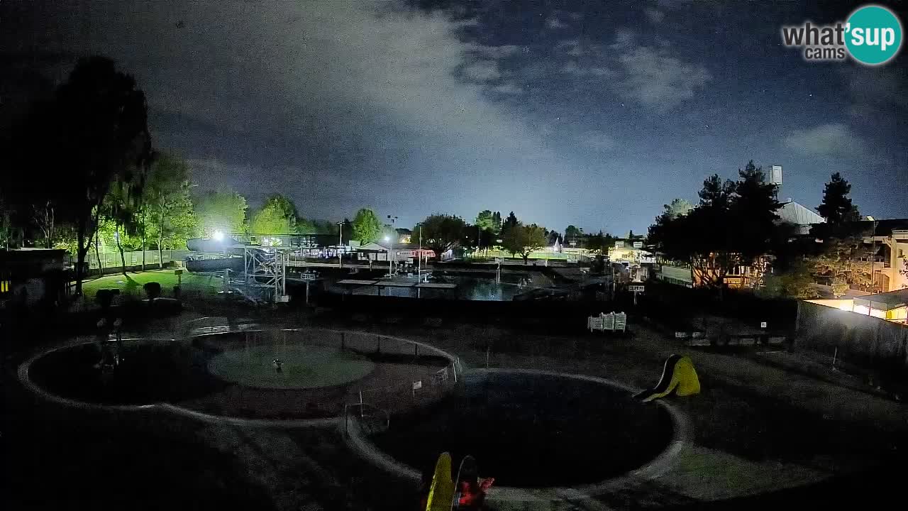 Celje – Piscine d’été
