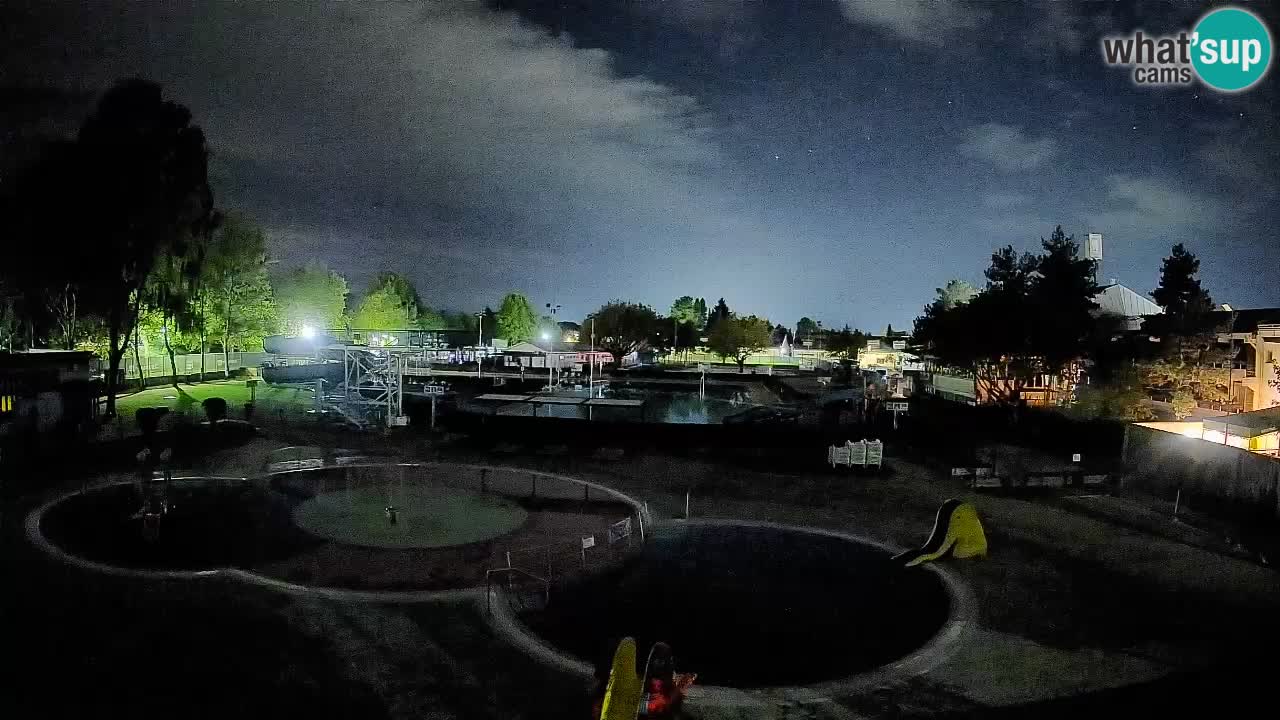 Celje – Piscina estiva