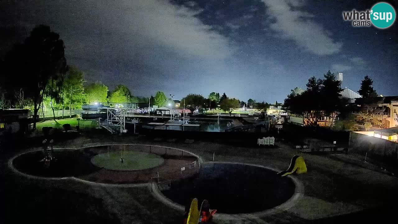 Celje – piscina al aire libre
