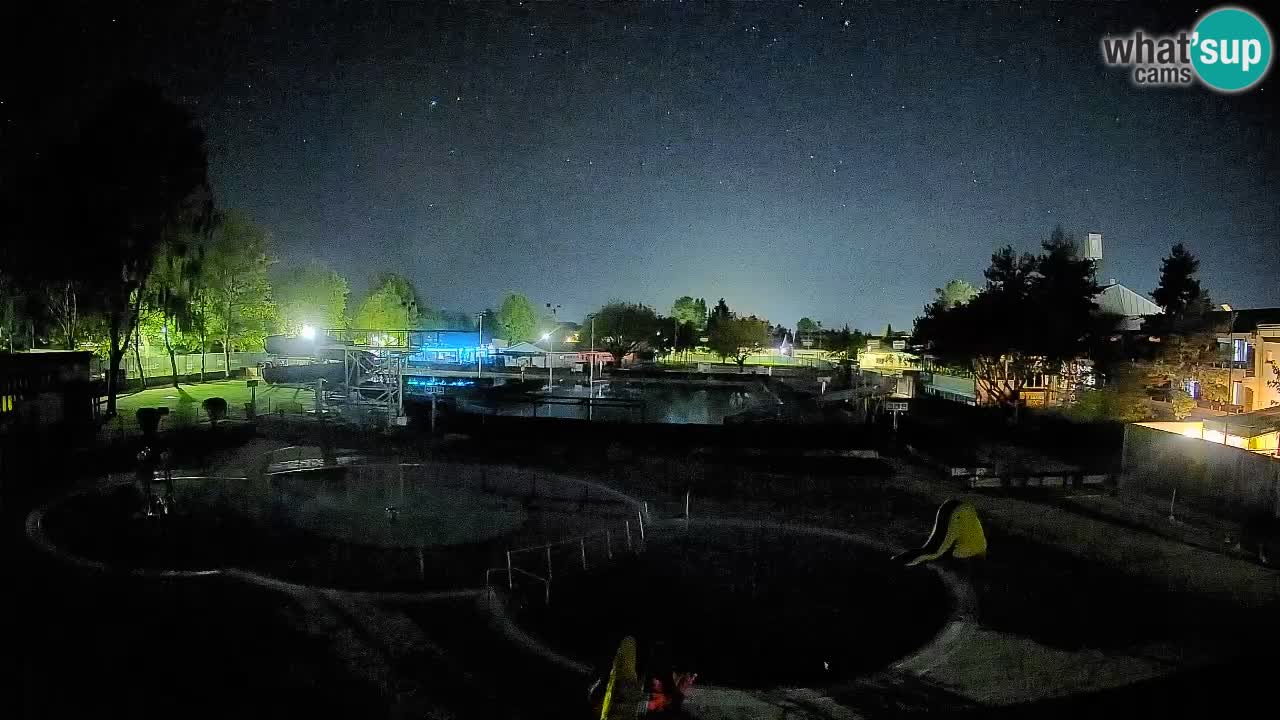 Celje – Letno kopališče