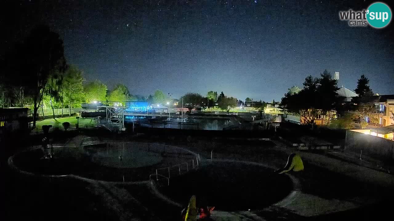 Celje – Piscina estiva