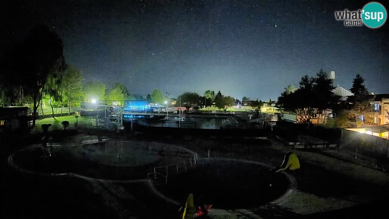 Celje – Letno kopališče