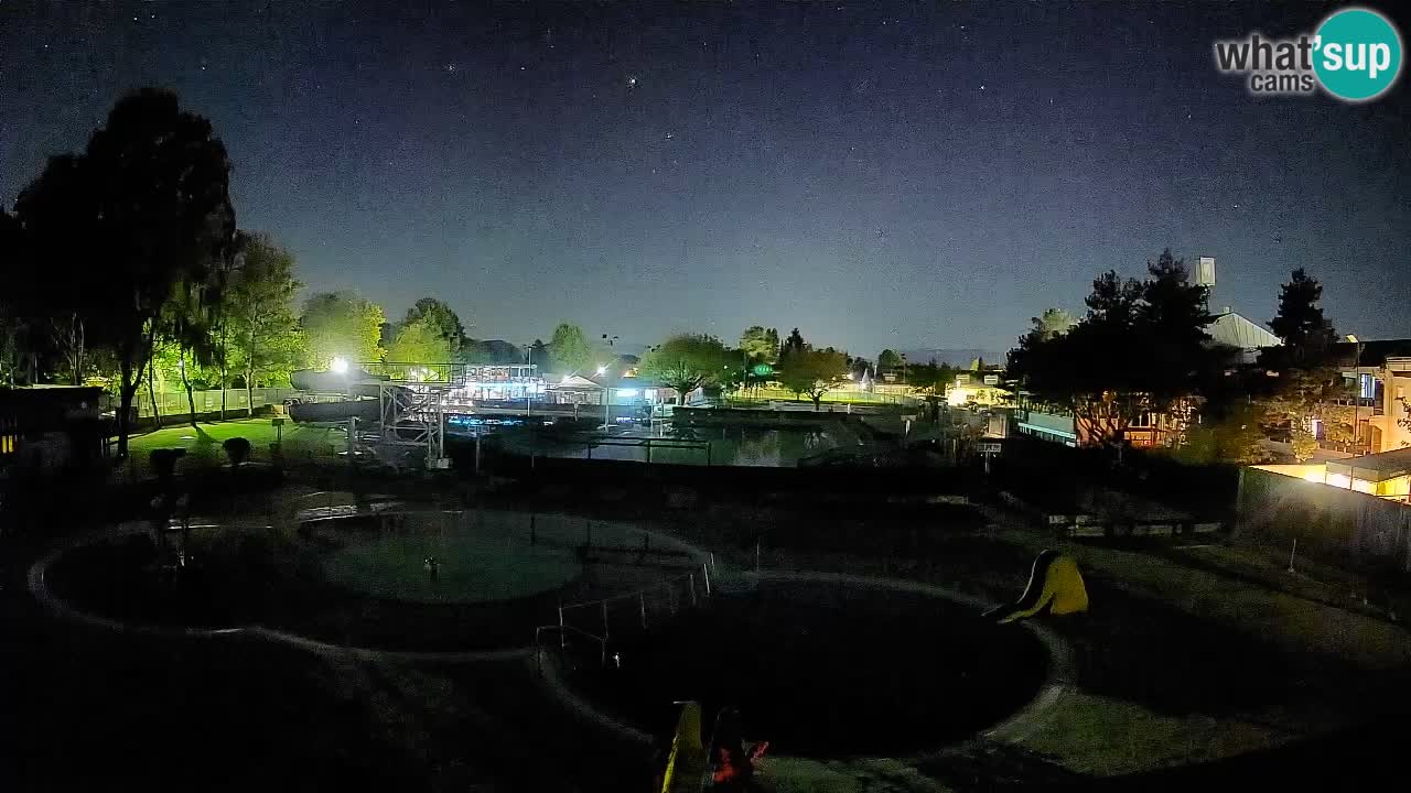 Celje – Piscina estiva