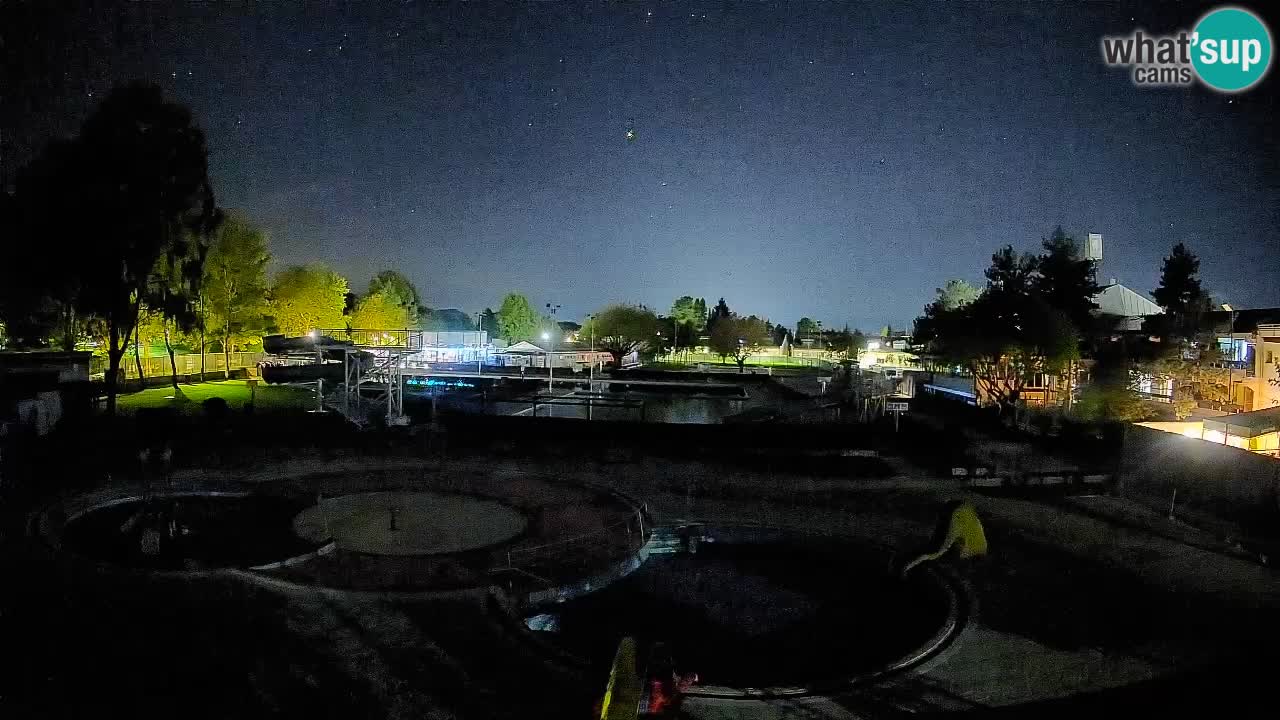 Celje summer open-air swimming pool