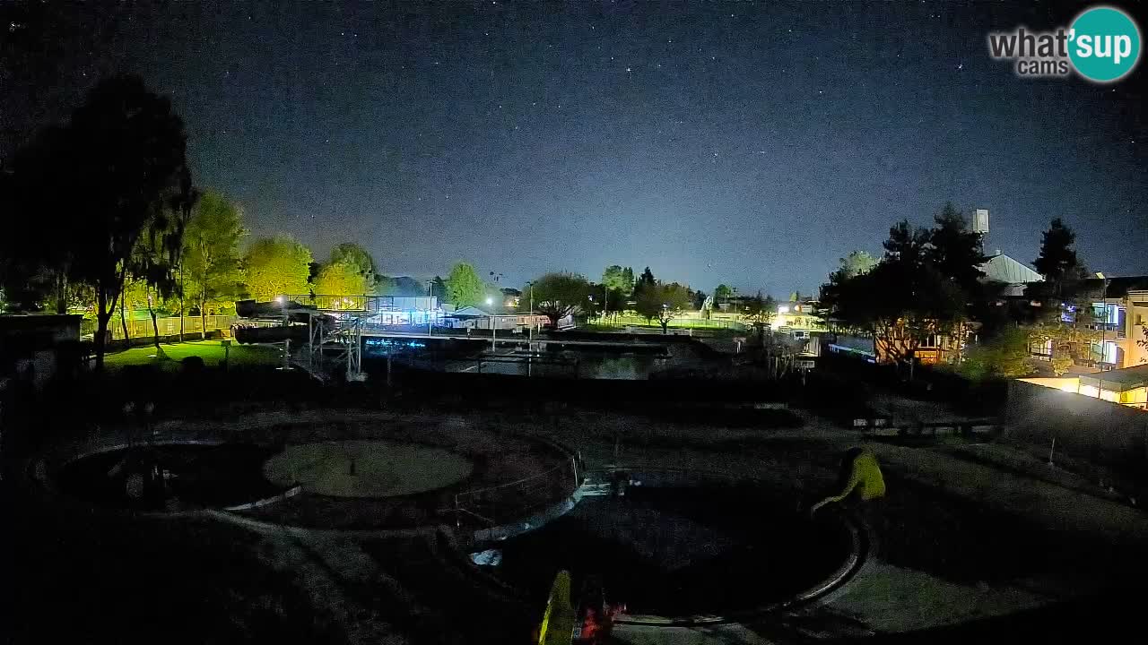 Celje – Piscina estiva