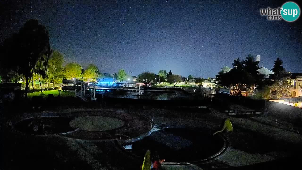 Celje – piscina al aire libre