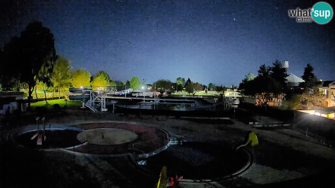 Celje – Piscina estiva
