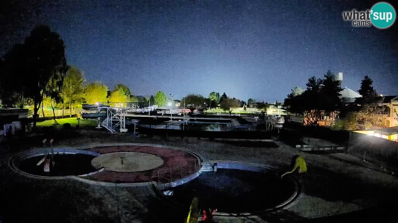 Celje summer open-air swimming pool