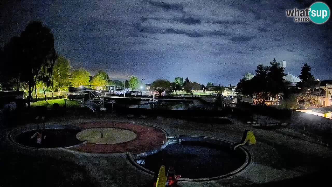 Celje – piscina al aire libre