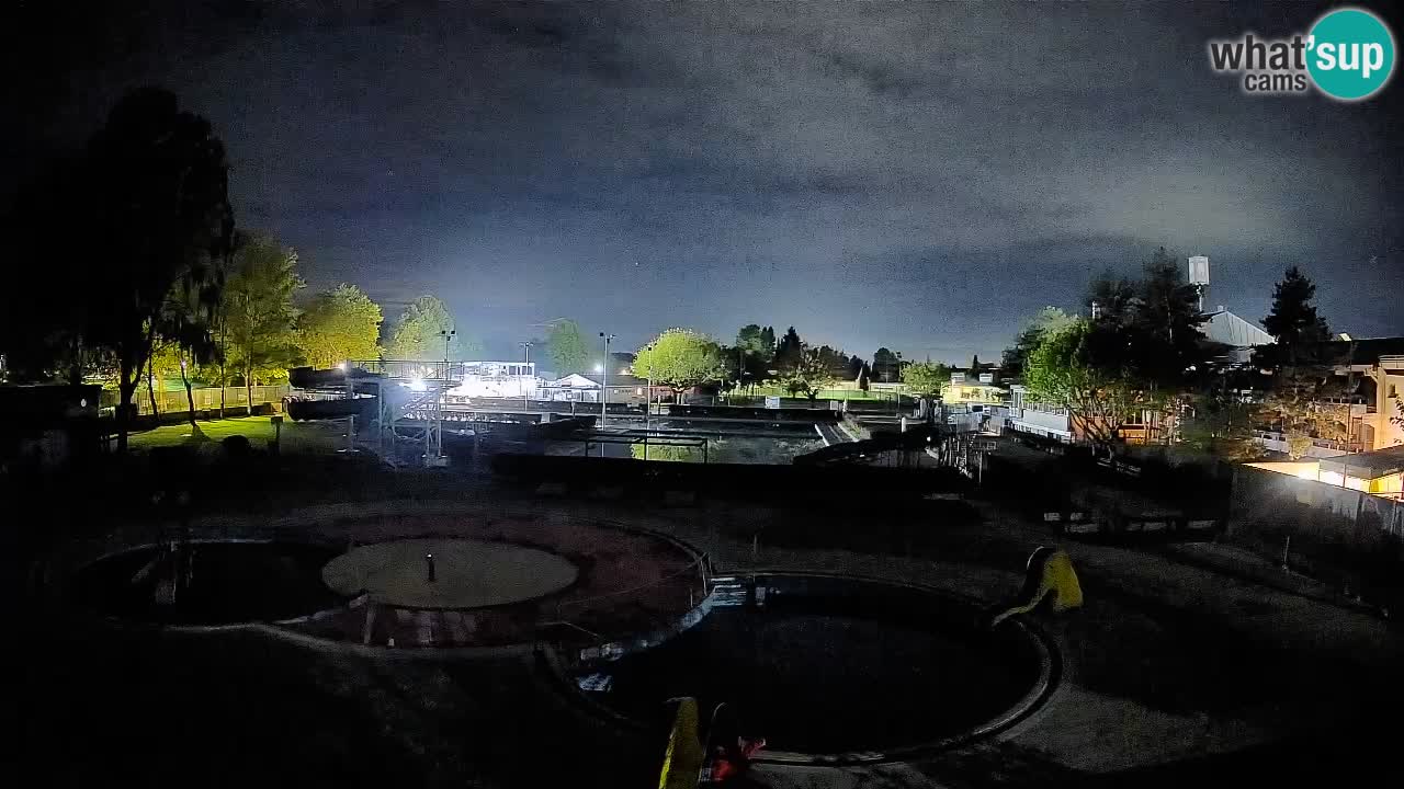 Celje – Piscina estiva