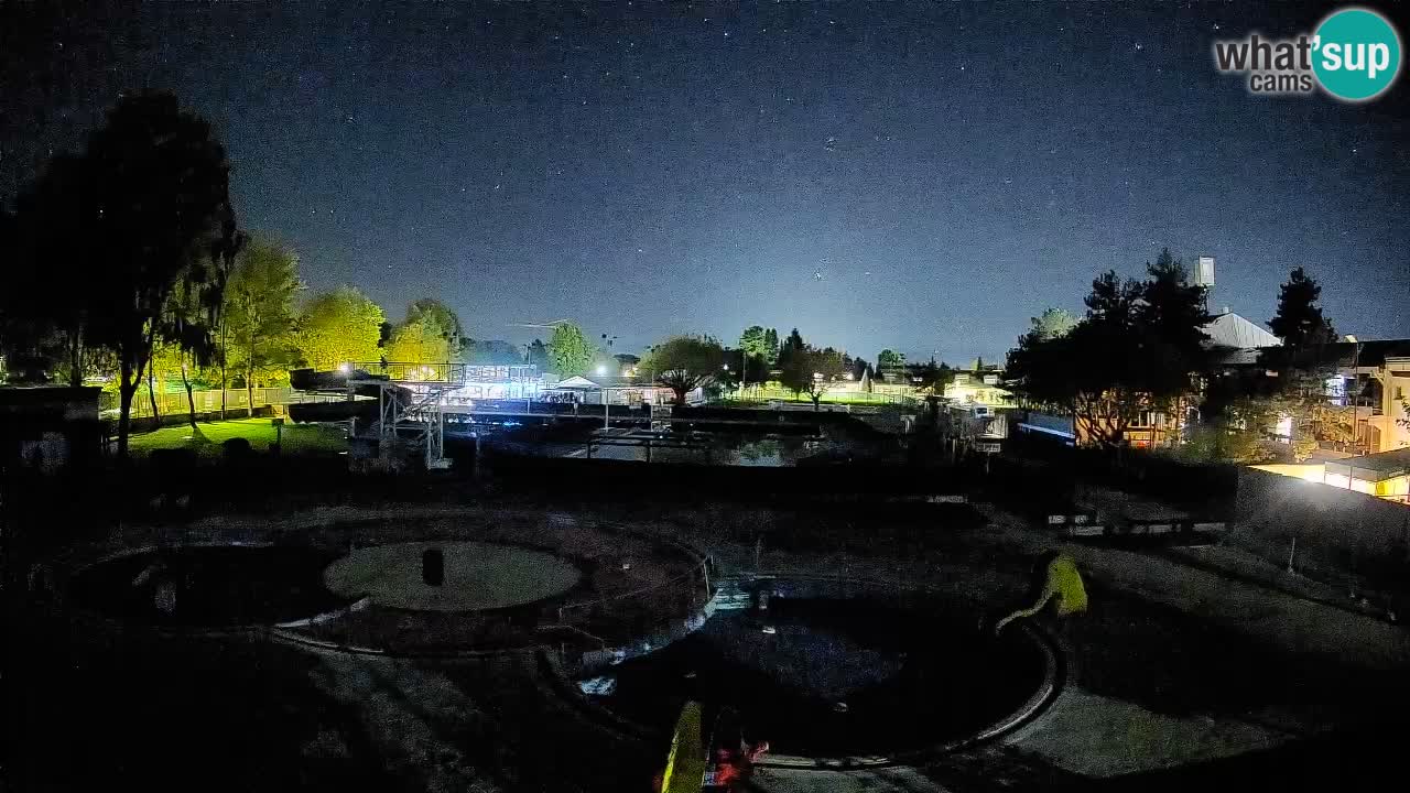 Celje – piscina al aire libre