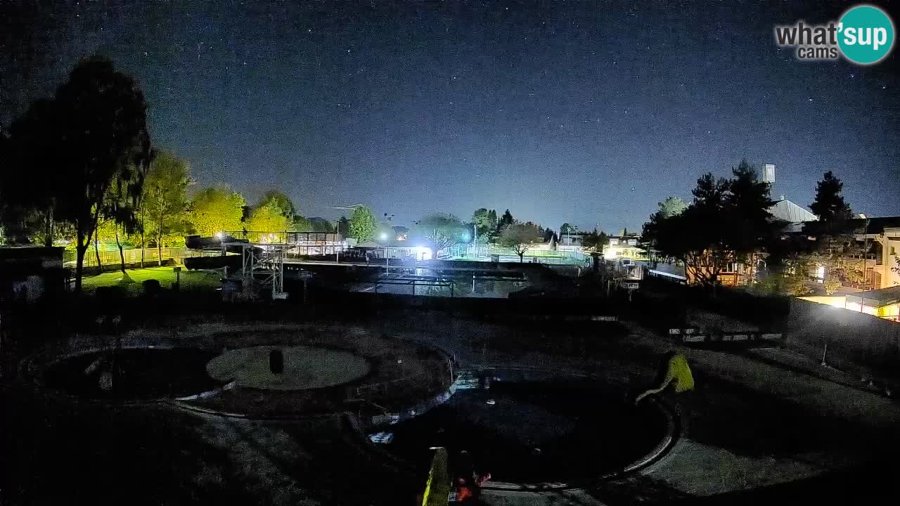 Celje – piscina al aire libre