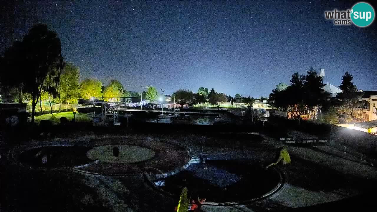 Celje – Piscina estiva