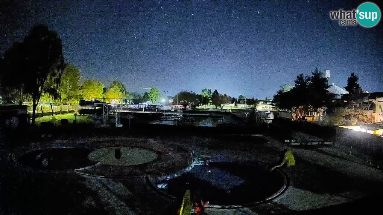 Celje – Piscina estiva