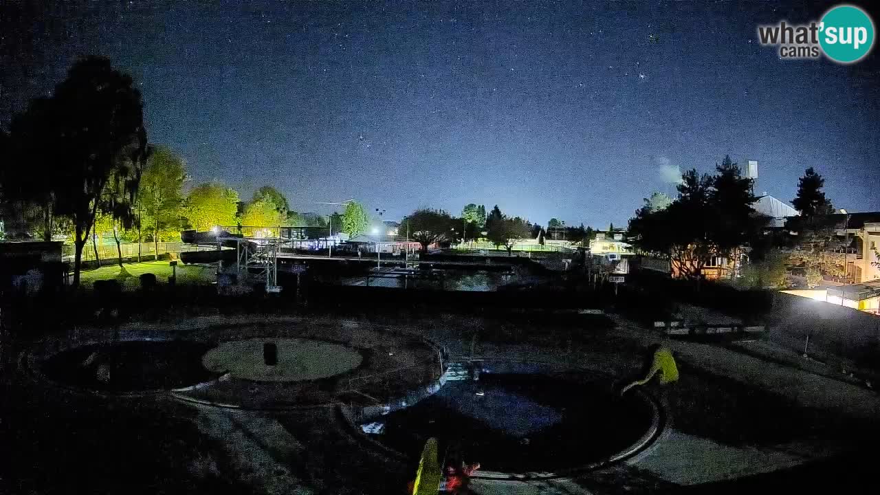 Celje – Piscina estiva