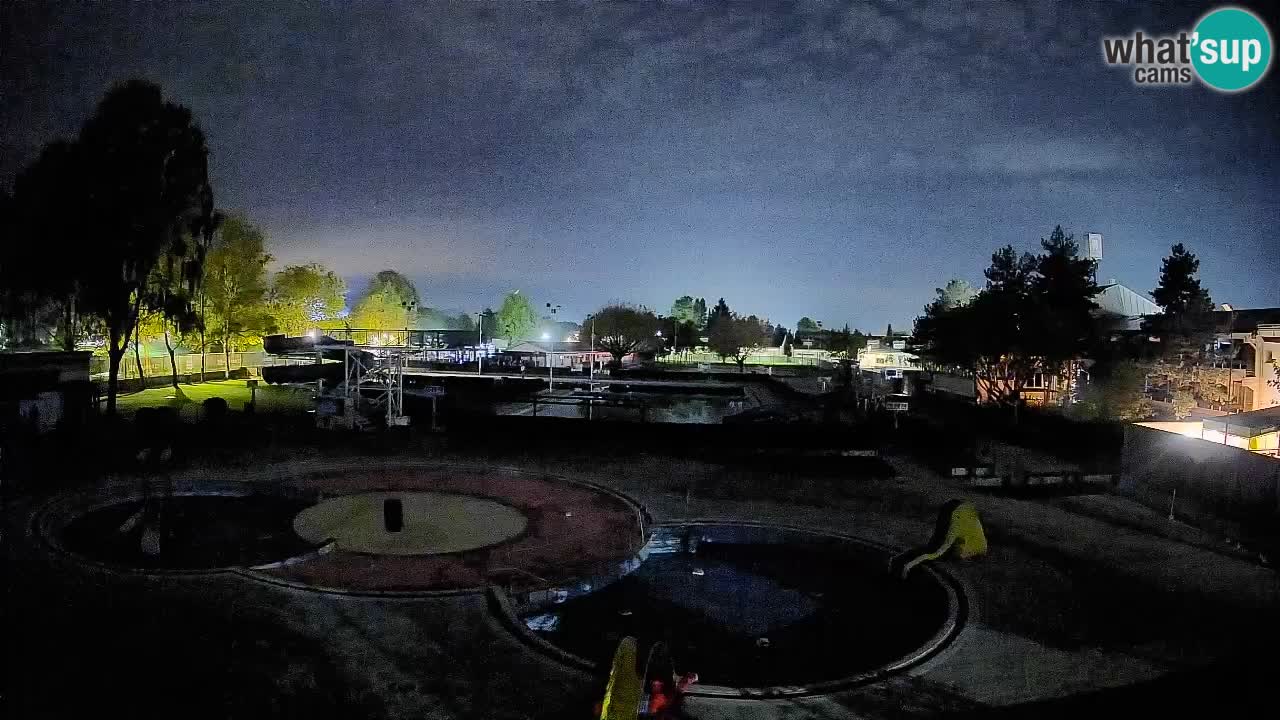 Celje – piscina al aire libre