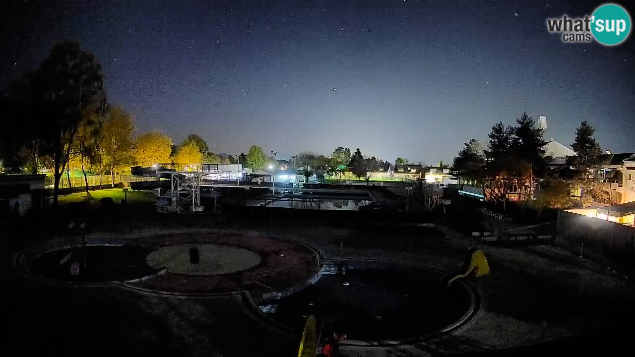 Celje – Piscine d’été