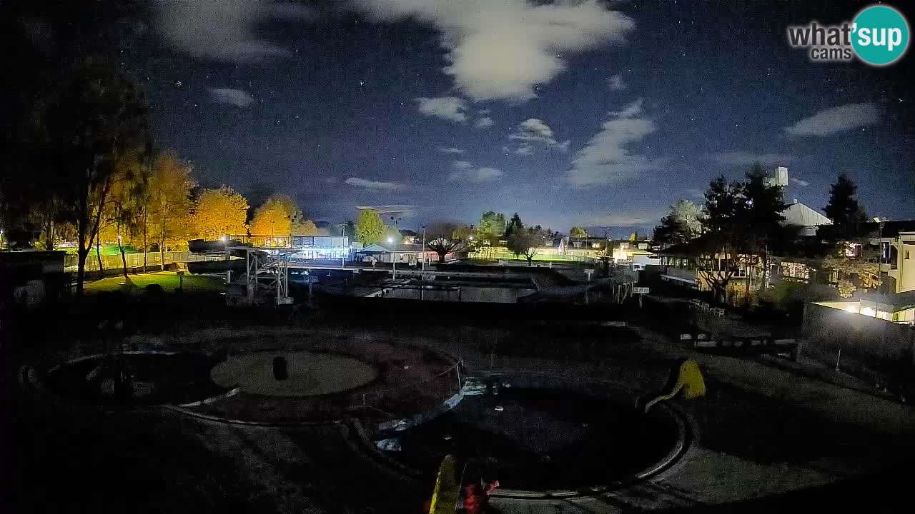 Celje – Piscina estiva