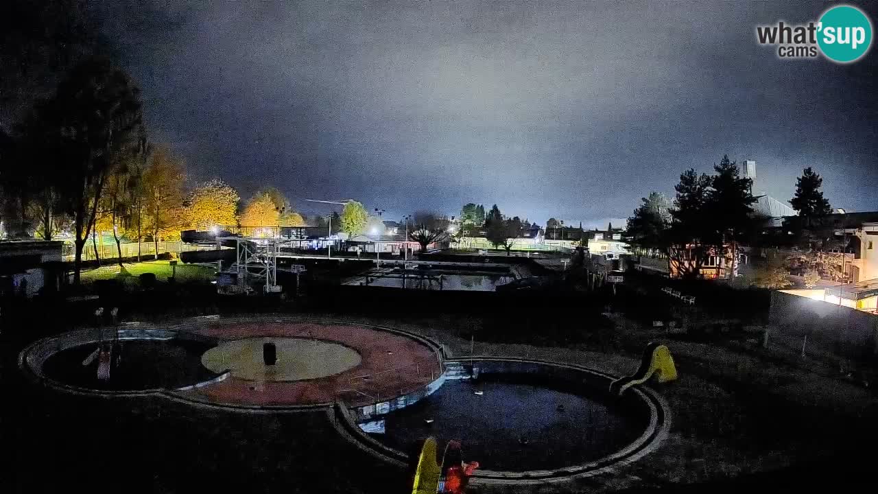 Celje – Letno kopališče