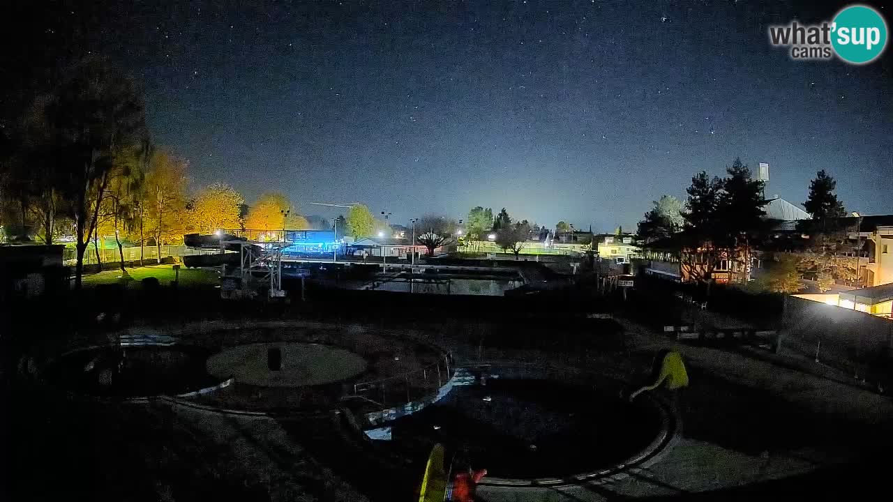 Celje summer open-air swimming pool