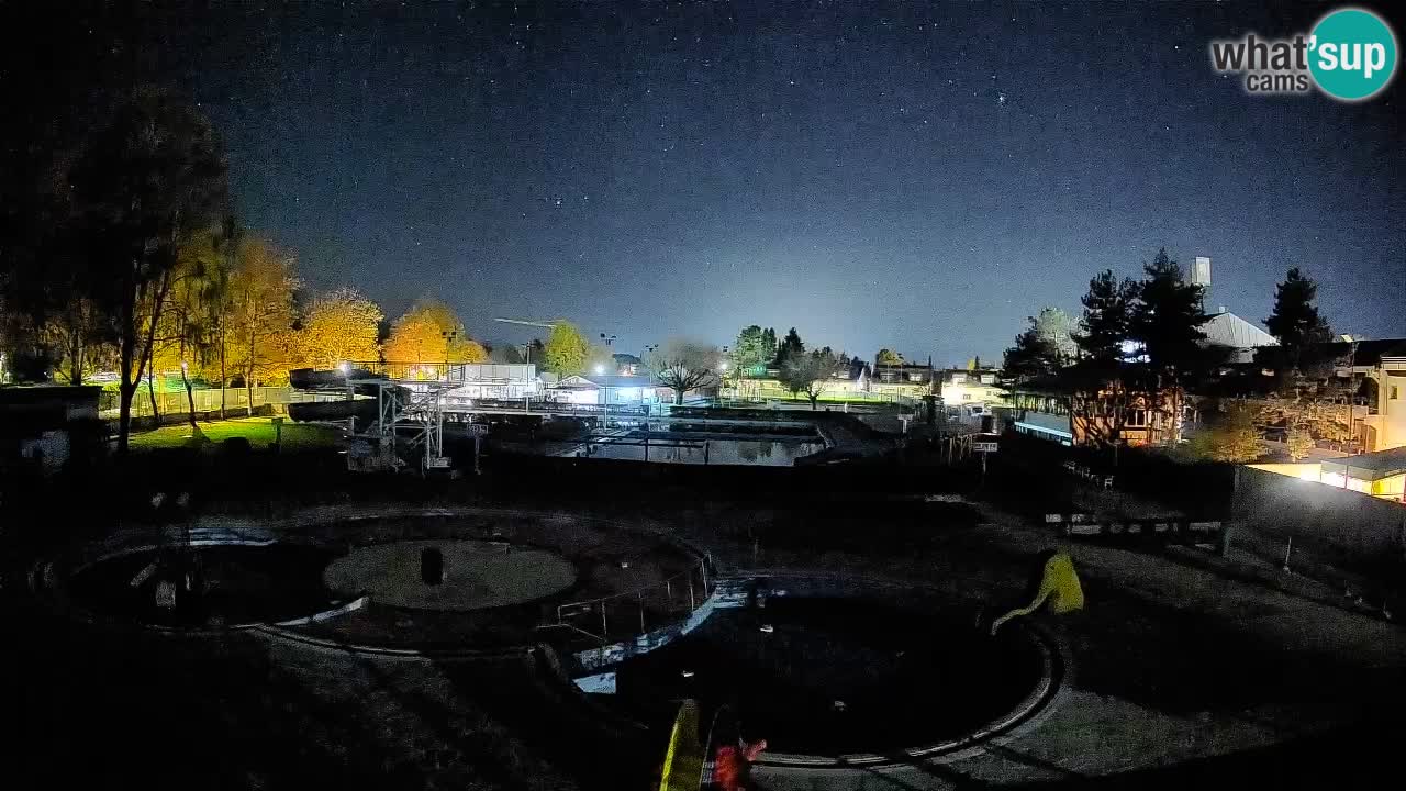 Celje – Piscine d’été