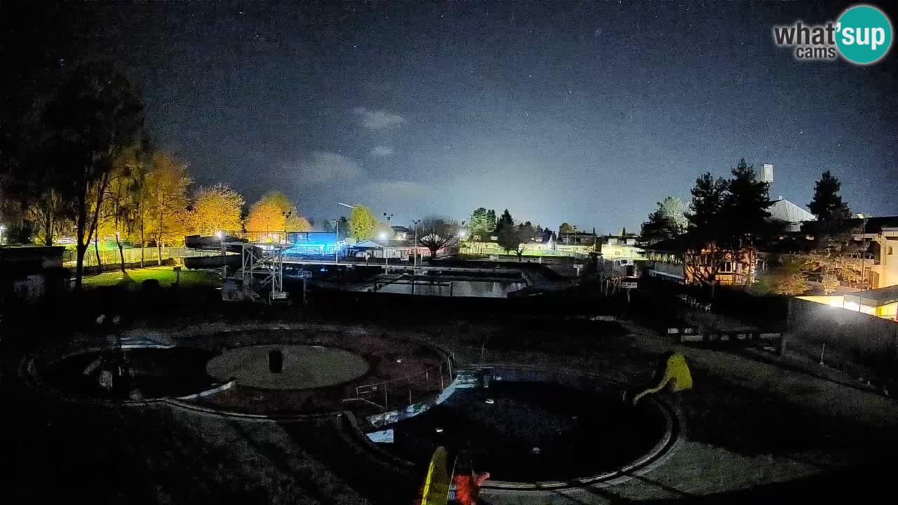 Celje – ljetni bazen