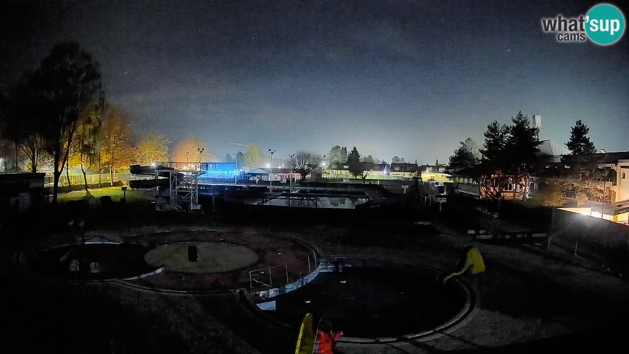 Celje – Letno kopališče