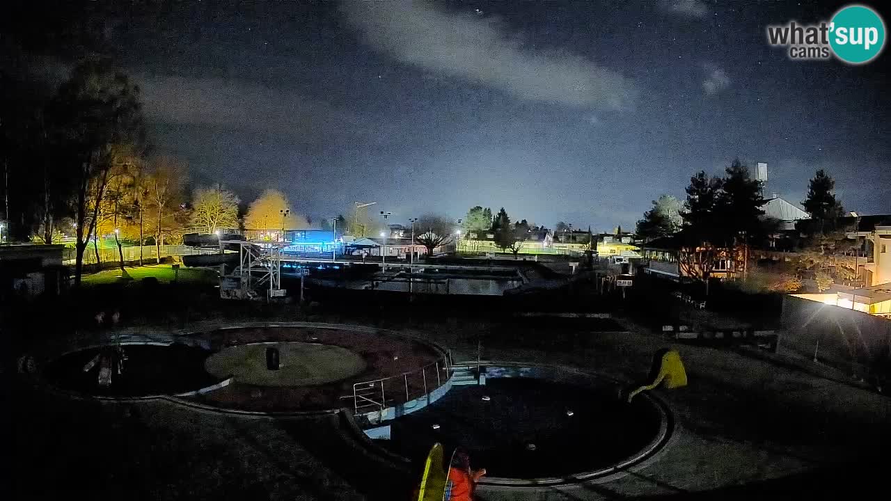 Celje – Sommerpool